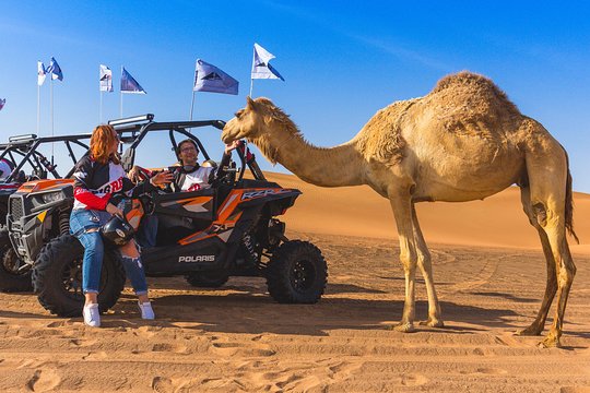 Tour image 11